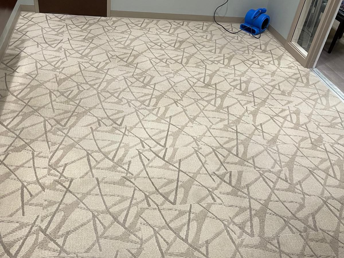 Carpet cleaning project